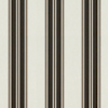 Black Taupe Fancy