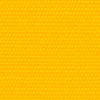 Sunflower Yellow